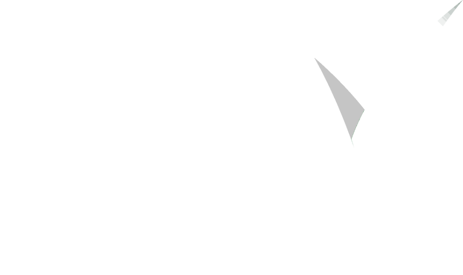 iGP Logo